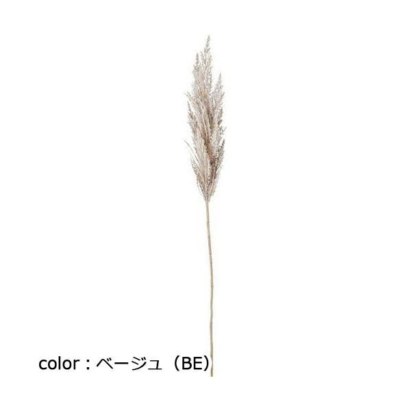 ポピー パンパスグラスM FG-5123 全長95cm・穂長40cm