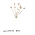 ポピー クラスペディア FG-5126 全長62cm・花径2.5～2.9cm