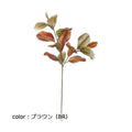ポピー カラードマグノリア FG-5179 全長95cm・葉長8～15cm