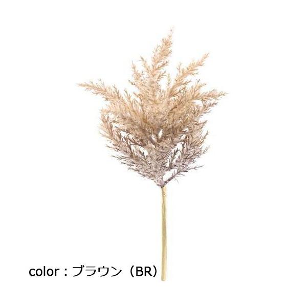 ポピー ドライパンパスショート FG-5180 全長34cm・幅15cm
