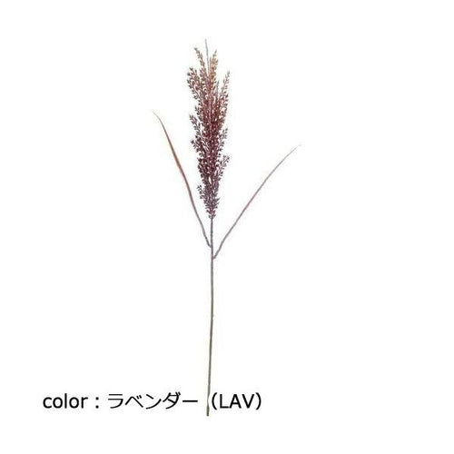 ポピー カラーパンパス FG-5192 全長65cm・穂長27cm