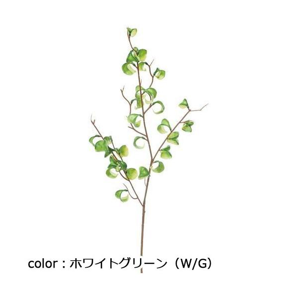 ポピー フィカスシタシオンブランチS FG-5197 全長50cm・葉幅2.5cm