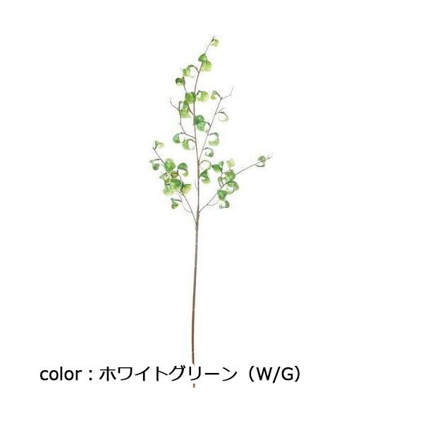 ポピー フィカスシタシオンブランチM FG-5198 全長70cm・葉幅2.5cm