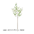 ポピー フィカスシタシオンブランチL FG-5199 全長95cm・葉幅2.5cm