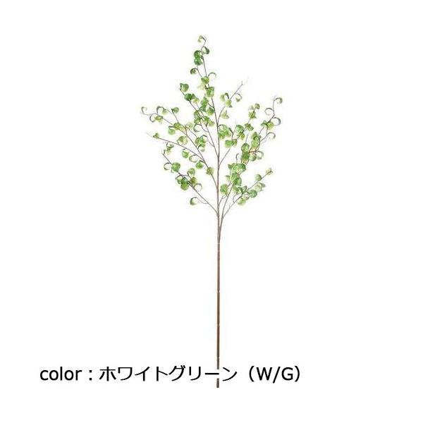 ポピー フィカスシタシオンブランチL FG-5199 全長95cm・葉幅2.5cm