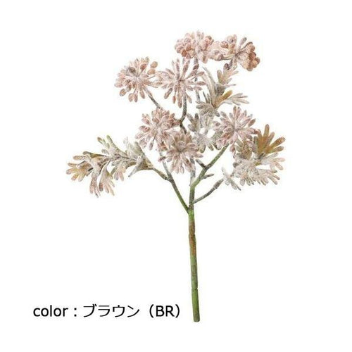 ポピー フロックヤツデベリースプレーショート FG-5240 全長37cm・幅16cm