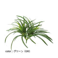 ポピー ヤブランブッシュ GL-5001 全長30cm・幅45cm