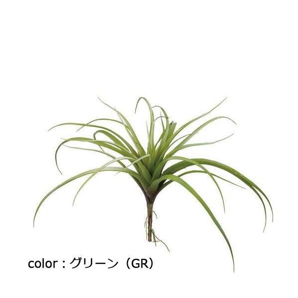 ポピー チランジアブッシュ GL-5052 全長30cm