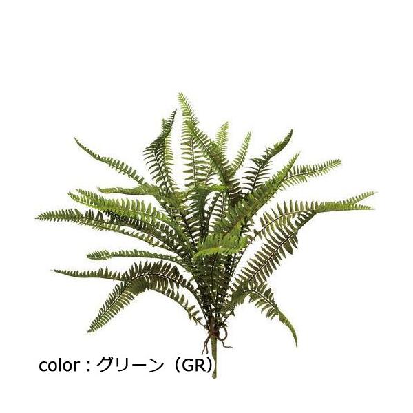 ポピー シダブッシュM GL-5054 全長40cm・幅40cm