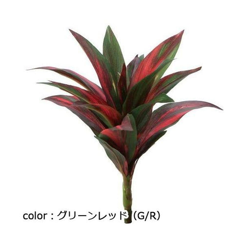 ポピー ミニコルジリネブッシュ GL-5096 全長28cm・幅18cm・葉長7.5～15cm・葉径2.5～4cm