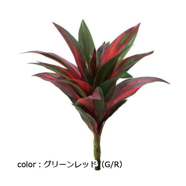 ポピー ミニコルジリネブッシュ GL-5096 全長28cm・幅18cm・葉長7.5～15cm・葉径2.5～4cm