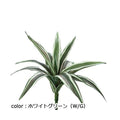 ポピー ミニワーネッキーブッシュ GL-5098 全長32cm・幅28cm・葉長10～20cm・葉径2～3.5cm
