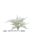 ポピー ダッチファーンブッシュ GL-5114 全長30cm・幅37cm