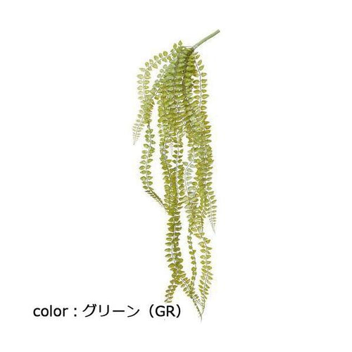 ポピー ソードファーンバイン GL-5136 全長100cm・葉径0.5～2.5cm・幅26cm