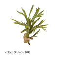 ポピー コウモリランブッシュ GL-5200 全長68cm・幅55cm