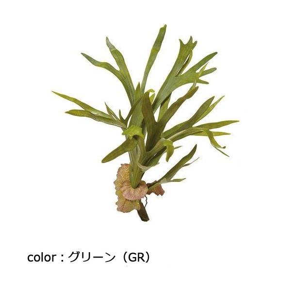 ポピー コウモリランブッシュ GL-5200 全長68cm・幅55cm