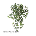 ポピー ピッツバーグハンギングブッシュ GL-5223 全長60cm・葉径2～4cm・幅36cm
