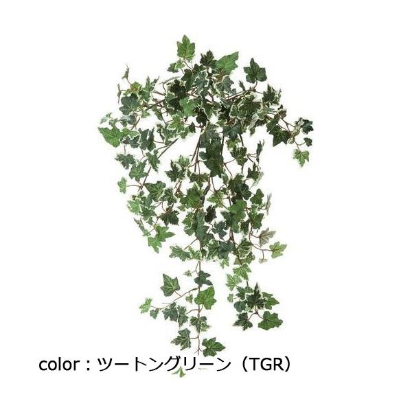ポピー アイビーゴールデンハンギングブッシュ GL-5224 全長55cm・葉径2～4cm・幅29cm