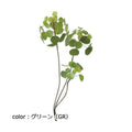 ポピー ピレアペペロミオイデスブランチ GL-5260 全長60cm・葉径3～5.5cm・幅25cm
