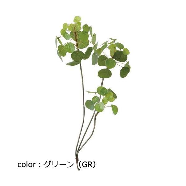 ポピー ピレアペペロミオイデスブランチ GL-5260 全長60cm・葉径3～5.5cm・幅25cm
