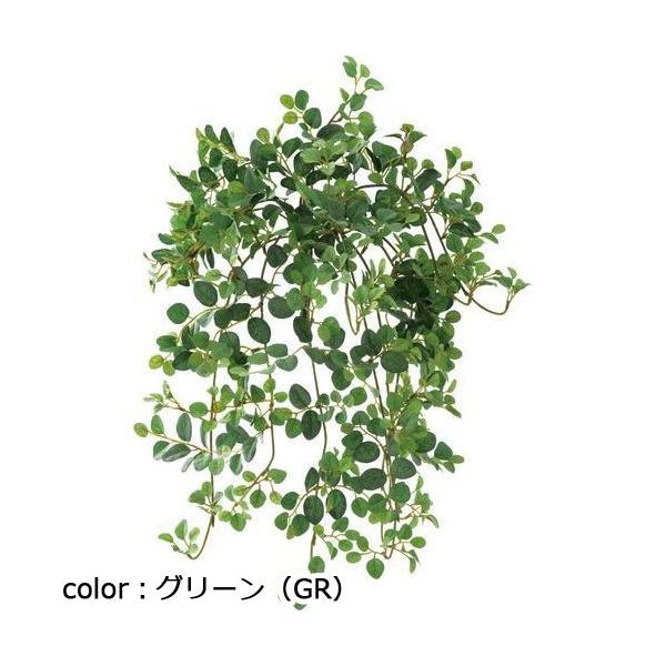 ポピー プミラハンギングブッシュ GL-5303 全長50cm・葉長1.5?3cm・幅32cm