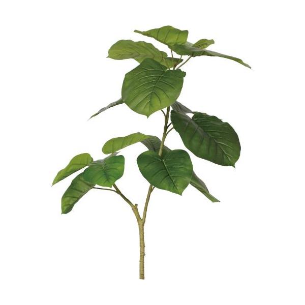 GL-5352KK ウンベラータ/全長90cm 幅40cm 葉 :16 ～ 27cm/業務用/新品/送料別途見積