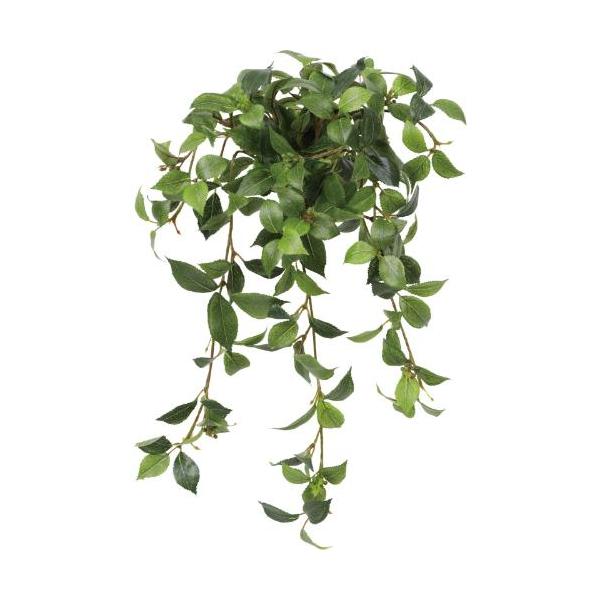 GL-5354KK マウンテンアッシュハンギング/全長50cm 幅30cm 葉 :3.5 ～ 6cm/業務用/新品/送料別途見積