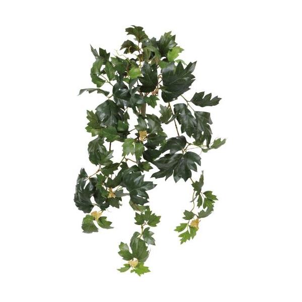 GL-5356KK エレンダニカブッシュ/全長60cm 幅30cm 葉 :2.5 ～ 9cm/業務用/新品/送料別途見積