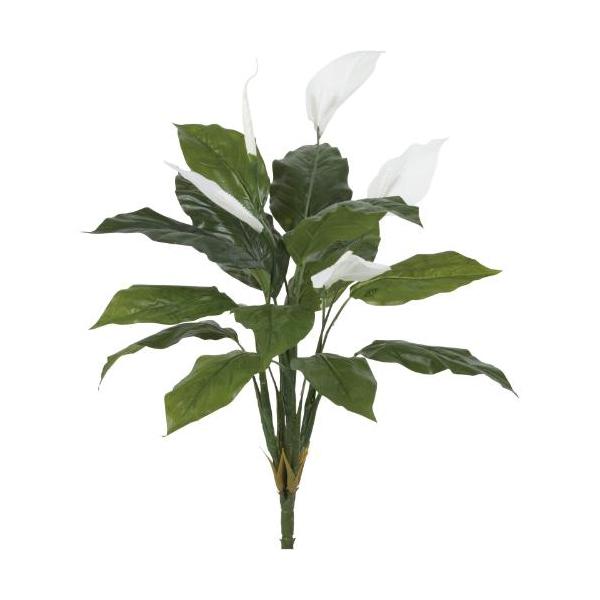 GL-5357KK スパシフィラムブッシュ/全長65cm 幅40cm 葉 :20 ～ 26cm 花 :15cm/業務用/新品/送料別途見積