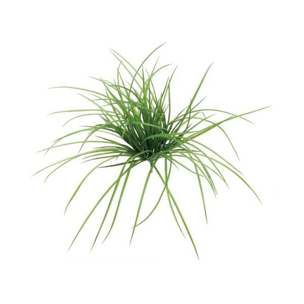 GL-5393/スイートグラズブッシュ/全長49cm 幅42cm/業務用/新品/送料別途見積