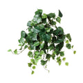 GL-5397/コットンウッドブッシュバイン/全長45cm 幅35cm 葉径2.5～5.5cm/業務用/新品/送料別途見積