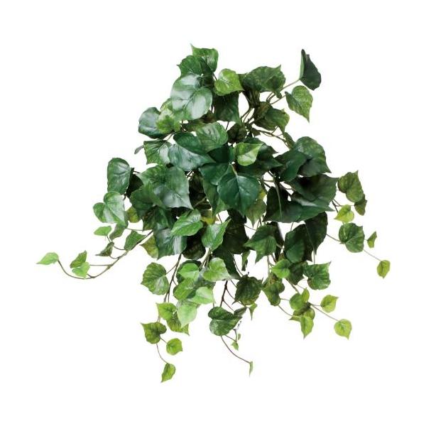 GL-5397/コットンウッドブッシュバイン/全長45cm 幅35cm 葉径2.5～5.5cm/業務用/新品/送料別途見積