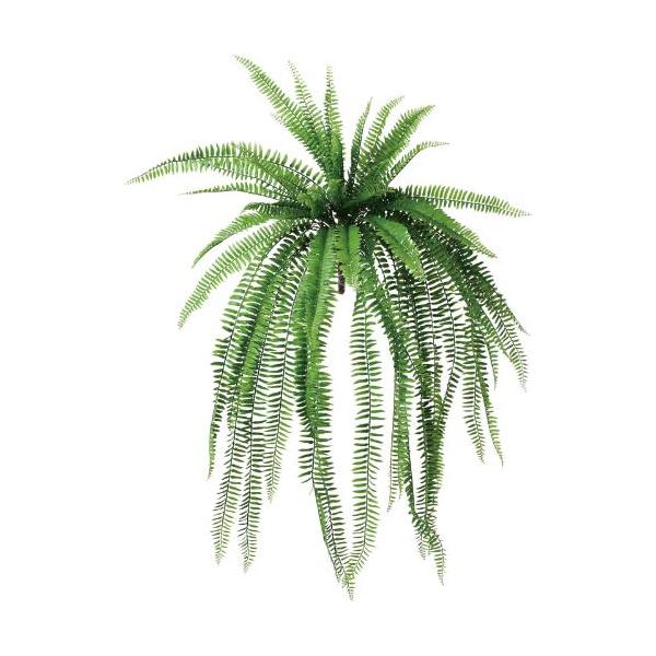 GL-5400/ジャンボボストンファーンブッシュ/全長93cm 幅50cm/業務用/新品/送料別途見積