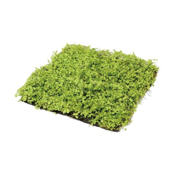 GL-5412/ミニリーフマット30×30/□30cm/業務用/新品/送料別途見積