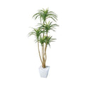 ポピー ユッカポット（L） GLA-1198 全長120cm・幅52cm 鉢：□17cm・H16cm