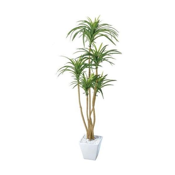 ポピー ユッカポット（L） GLA-1198 全長120cm・幅52cm 鉢：□17cm・H16cm