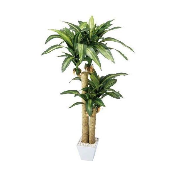 ポピー マッサンポット GLA-1200 全長120cm・幅70cm 鉢：□17cm・H16cm