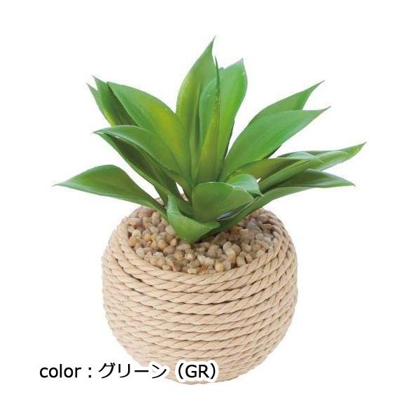 ポピー アガベロープポット GLA-1260 H13cm×W12cm