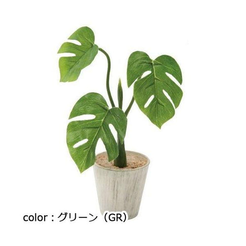 ポピー ミニモンステラポット GLA-1300 φ7cm・W16cm×D13cm×H23cm葉長7～9cm