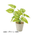 ポピー ミニポトスポット GLA-1301 φ7cm・W20cm×D20cm×H22cm葉長7cm