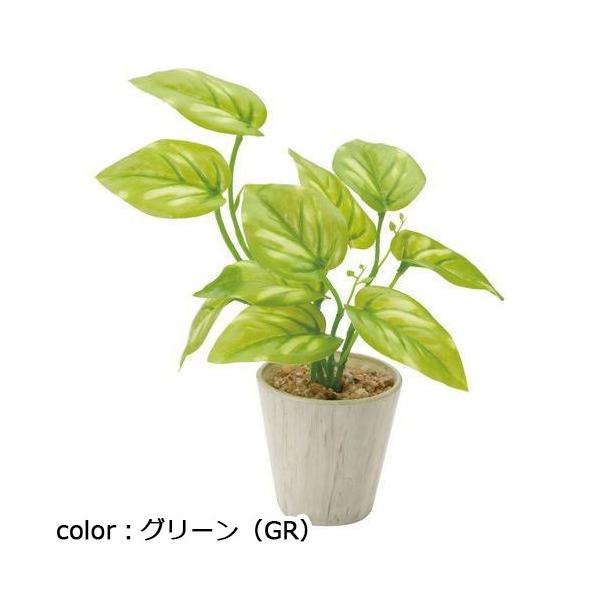 ポピー ミニポトスポット GLA-1301 φ7cm・W20cm×D20cm×H22cm葉長7cm