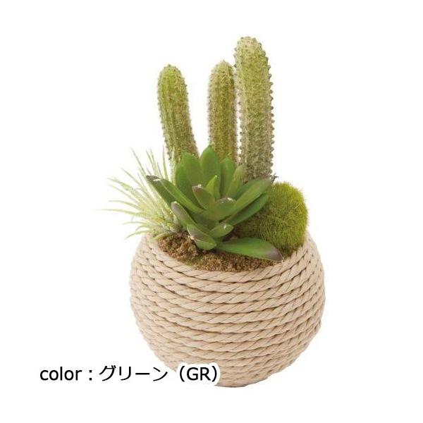 ポピー セダムミックスロープポット GLA-1325 H15cm×W9cm