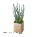 ポピー エリカペーパーポット GLA-1335 □7cm・W10cm×D13cm×H25cm