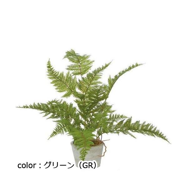 ポピー シダーポット GLA-1365 全長40cm・幅56cm