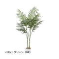 ポピー アレカパーム GLA-1369 全長160cm・幅85cm 鉢：□17cm・H16cm