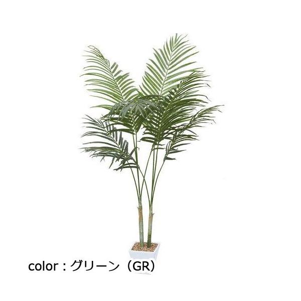 ポピー アレカパーム GLA-1369 全長160cm・幅85cm 鉢：□17cm・H16cm
