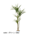 ポピー ユッカポット GLA-1389 全長145cm・幅85cm 鉢：□17cm・H16cm