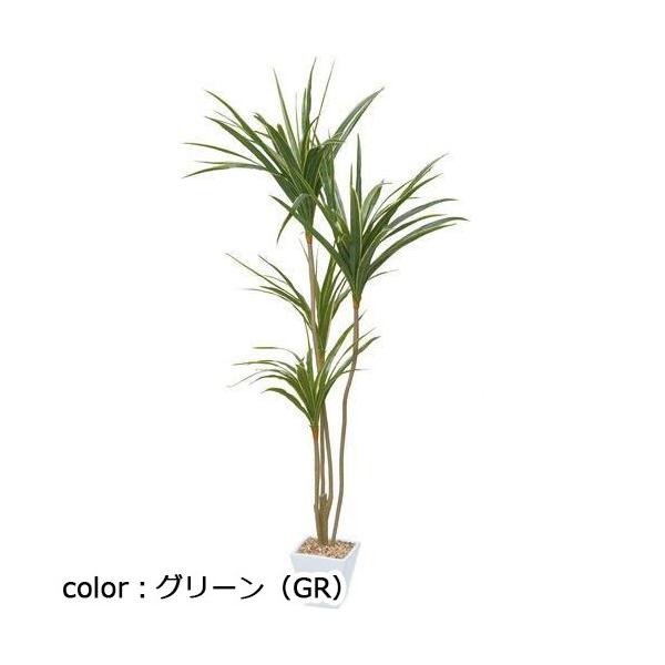 ポピー ユッカポット GLA-1389 全長145cm・幅85cm 鉢：□17cm・H16cm