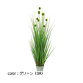 ポピー ポンポングラスポットL GLA-1393 全長120cm・幅53cm