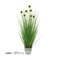 ポピー ポンポングラスポットM GLA-1394 全長88cm・幅53cm